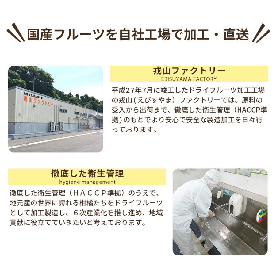 大容量 ドライフルーツ 500g 国産 あんず ドライアプリコット 業務用 おやつ 美容 健康 送料無料 げんき本舗