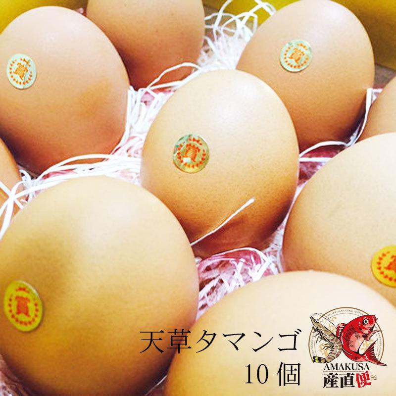 高級卵 　タマンゴ10個　マンゴーの配合飼料で育てた鶏の高級 卵かけご飯 贈答品卵 贈答用卵 高級卵通販　熊本天草産