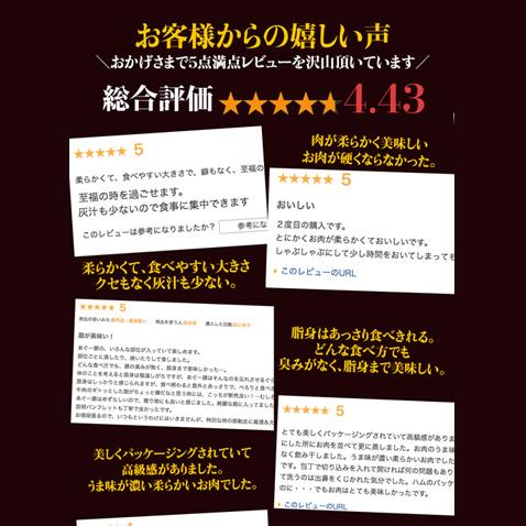 アグー豚 しゃぶしゃぶ 豚肉 沖縄 あぐー豚 しゃぶしゃぶセット 1000g入4〜5人前