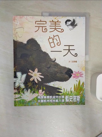 【書寶二手書T3／少年童書_R3J】完美的一天_藍史密斯,  王欣榆