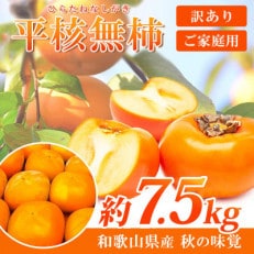和歌山秋の味覚　平核無柿(ひらたねなしがき)　約7.5kg