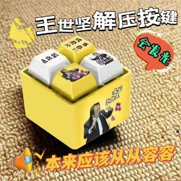 臺灣出貨 🌈 爆款 從從容容語錄 發光語音 發音按鍵掛件 鑰匙扣 趣味搞怪解壓 新款王世堅從從容容發光語音發音按鍵掛件鑰