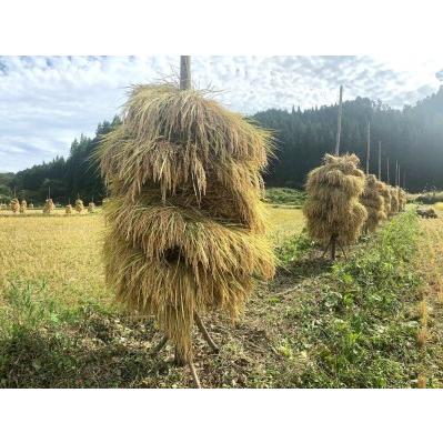 ふるさと納税 農薬化学肥料不使用・天日干し自然乾燥のお米 宮城県栗原市