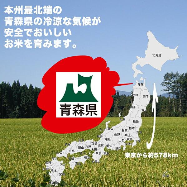 新米 米 10kg 青森県産 5年産 つがるロマン 白米10kg（5kg×2） 小分け 精米 送料無料