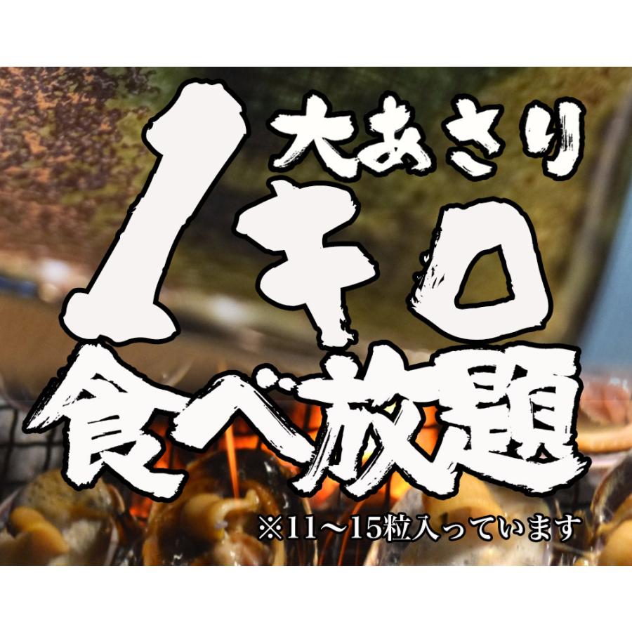 大あさり 1kg 11〜15個 大アサリ 大貝 うちむらさき BBQ 居酒屋 海鮮 同梱推奨 片貝 殻つき 炉端焼き