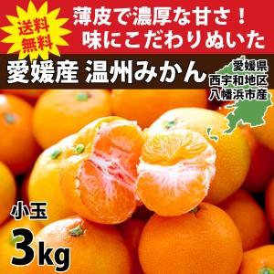 みかん 愛媛 小玉 訳あり 3kg 箱買い 八幡浜市 ブランド 産地直送 厳選 人気の品種 旬 3S～Sサイズ 甘い 濃厚 3S～Sサイズ 30～40玉前後