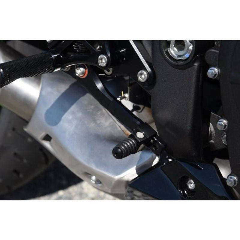WOODSTOCK ウッドストック バックステップキット ステップバー