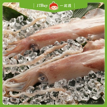 【一起買】野生透抽-1尾入 / 200-300g