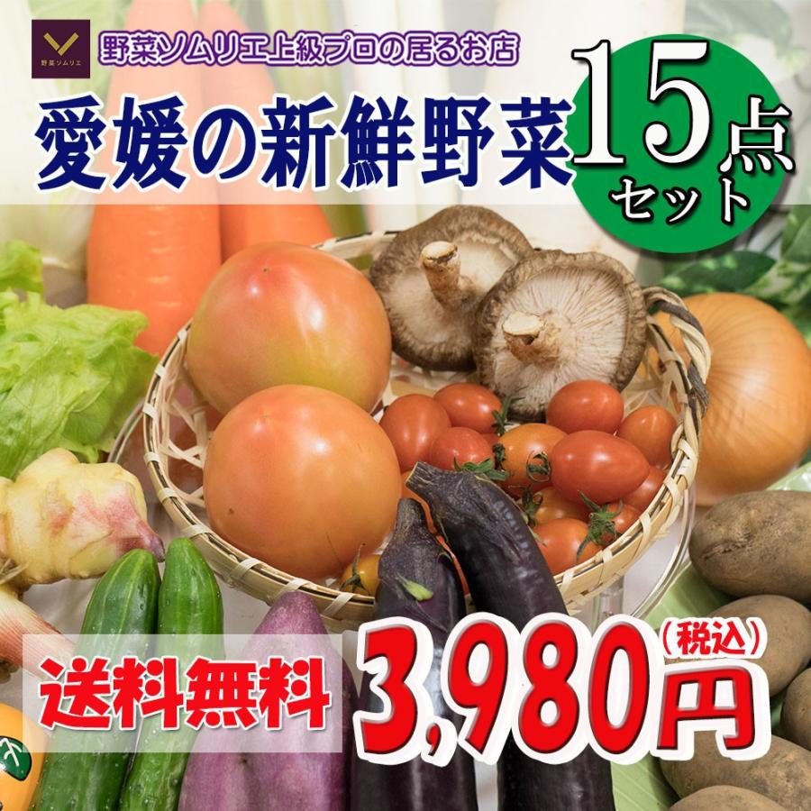 野菜詰め合わせ 野菜 詰め合わせ 15品 送料無料 冷蔵便