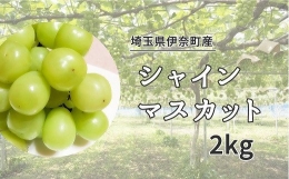 埼玉県伊奈町産シャインマスカット2kg ／山岸農園 ブドウ ぶどう 葡萄 果物 フルーツ 数量限定