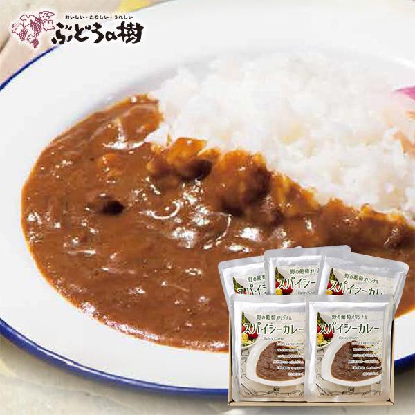 送料無料 ぶどうの樹　スパイシーカレーセット カレー　レストランの味　レトルト 手作り 福岡県　ギフト お歳暮 （北海道・沖縄別途送料）