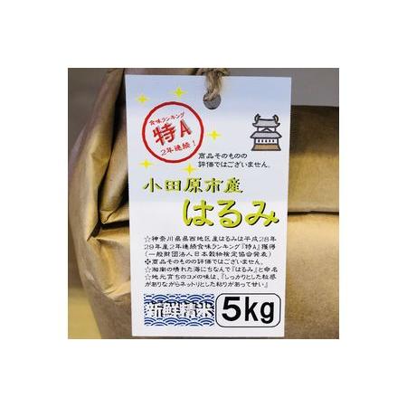 ふるさと納税  志村屋米穀店 令和5年産新米小田原市産　はるみ　新米　5kg＜出荷時期：10月中旬より順次出荷開始＞ 神奈川県小田原市