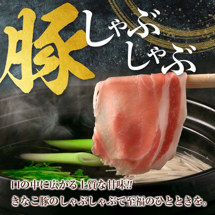 CA40-23 ≪きなこ豚≫ロース＆バラ＆切り落としセット(合計2.5kg)　肉　豚　豚肉　国産　宮崎県産