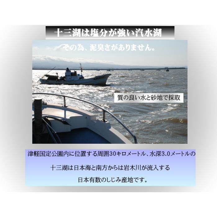 送料無料 貝活源G シジミエキス錠剤 60g 300mg×200粒 青森 十三湖産しじみ使用