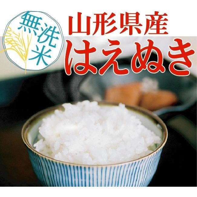 ポイント5倍 新米 無洗米 山形県産はえぬき 2合(300g) ×3袋 メール便送料込み 令和5年産 米 食品 お試し（SL）