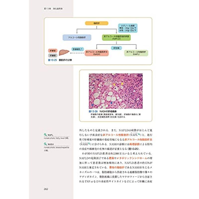 なるほどなっとく病理学 plus: 病態形成の機序と各器官の疾病の特徴