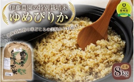 伊藤農園の特別栽培米ゆめぴりか 玄米（8kg）