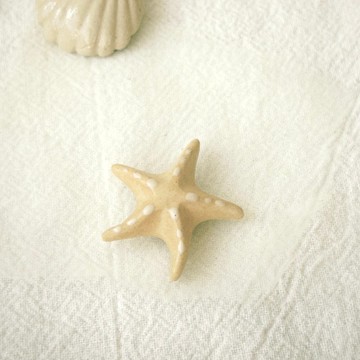 陶瓷海星磁石貼