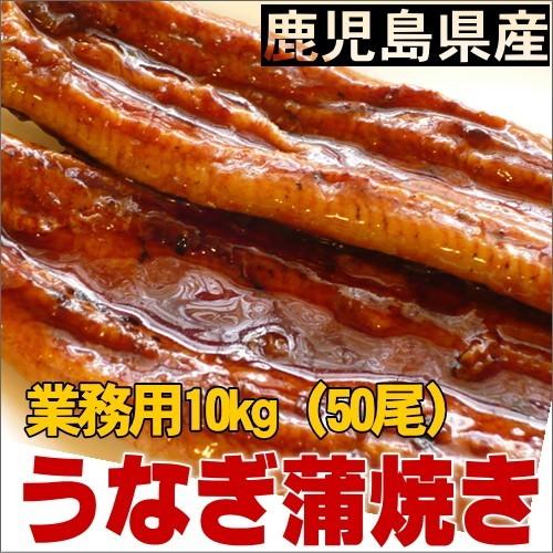 うなぎ蒲焼　鹿児島県産有頭　10kg（50尾）