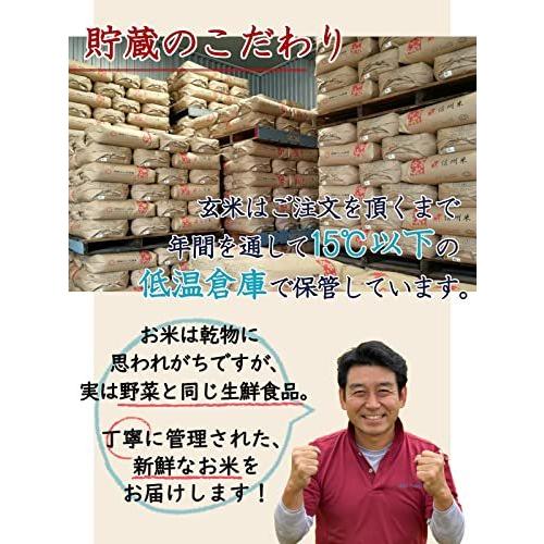  信州産 こしひかり 15kg（5kg×3） 令和3年産