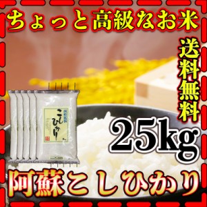 お米 米 25kg 白米 送料無料 熊本県 阿蘇産 こしひかり あす着 新米 令和5年産 コシヒカリ 5kg5個 くまもとのお米