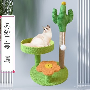 【限時特賣】貓爬架 一體式太空艙  立體貓爬架僊人掌簡易貓爬架耐磨架子立式抓柱貓咪玩具超高貓抓柱立體貓抓闆