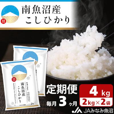 ふるさと納税 南魚沼市 南魚沼産こしひかり 精米 4kg(2kg×2袋)全3回