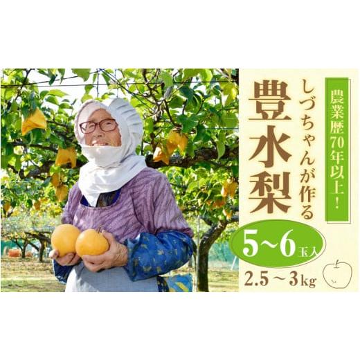 ふるさと納税 福井県 あわら市 しづちゃんが作る豊水梨 5〜6玉入（2.5〜3kg）農業歴70年以上！ ※2024年9月上旬より順次お届け