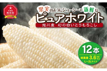 白いとうもろこしピュアホワイト 12本 3.6kg(2024年8月下旬～発送開始予定)