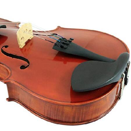 D'Luca PDZ02-16.5 16.5-Inch Orchestral Series Viola Outfit