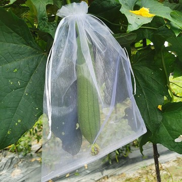 【種植必備】 水果套袋 多入組合 無花果 雪紗袋 防蟲套袋 百香果網袋 絲瓜套袋 黃金果 酪梨套袋 防鳥 防果蠅