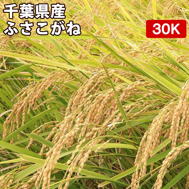 新米 米 30kg お米 玄米 真空パック（5kg×6袋）ふさこがね 千葉県産 令和5年産 精米無料 真空パック無料 送料無料