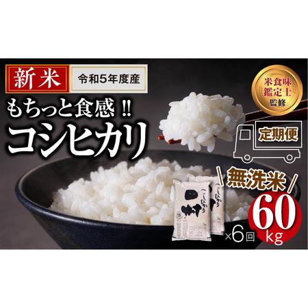 ふるさと納税   田村産 ＼定期便6回／ コシヒカリ 1俵 60kg 10kg ずつ 6回 配送ギフト 贅沢 のし対応 １週間以内発.. 福島県田村市