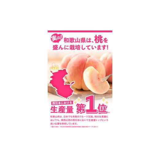 ふるさと納税 和歌山県 紀の川市 桃 もも モモ 紀の里の桃 約2kg(6-8玉入り)  もも 《2024年6月中旬-8月中旬頃より順次出荷》お届け時期に合わせた品種を厳選…