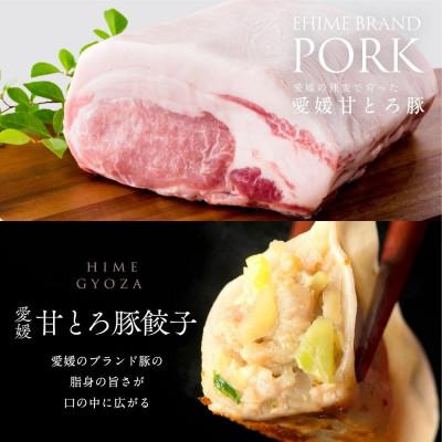 ふるさと納税 松山市 愛媛甘とろ豚餃子(60個)