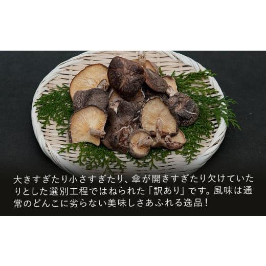 ふるさと納税 大分県 中津市 乾燥椎茸 訳あり 椎茸 300g 乾しいたけ 干し椎茸 干ししいたけ 乾燥しいたけ 干しシイタケ 原木 大分県産 九州産 中津市 国産 送…