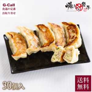 GYO-TEN 爆じゅう餃子 約40g×30個 送料無料