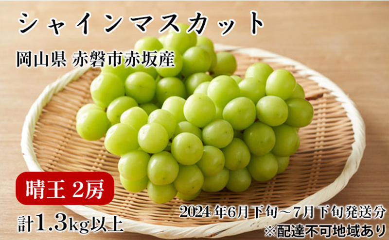 ぶどう 2024年 先行予約 シャイン マスカット 晴王  2房 合計1.3kg以上 2024年6月下旬～7月下旬発送分 ブドウ 葡萄 岡山県 赤磐市産 国産 フルーツ 果物 ギフト 赤坂青空市