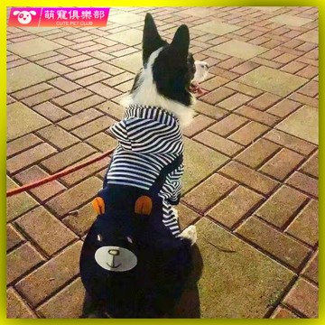 🐶🍂秋冬款 大型犬衣服 狗狗衣服大型犬 寵物衣服 大型犬 金毛薩摩大中型犬狗狗不倒絨衣服秋冬裝薩摩耶哈士奇金毛保暖衣服