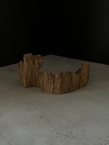 【日常進階款】野生加里曼丹沉香擺件ABK12(81g)