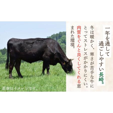 ふるさと納税 長崎和牛 特選 切り落とし 600g   お手頃 一万円 焼肉 肉 牛肉 お手頃 焼肉 すき焼き 肉 牛肉切り落とし 牛肉 和牛切り落とし肉 切.. 長崎県川棚町