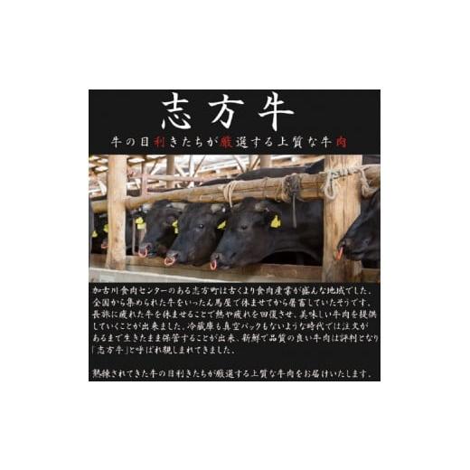 ふるさと納税 兵庫県 加古川市 [1月発送]志方牛サーロインステーキ 200g×3枚