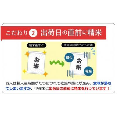 ふるさと納税 甲佐町 無洗米16kg×6ヶ月(5kg×2袋、6kg×1袋)『甲佐の輝き』Z