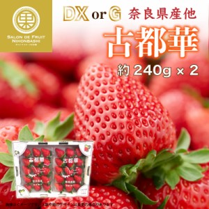 [予約 2024年2月11日-2月14日の納品] バレンタインデー 古都華 大粒サイズ DX または G 約240g×2 奈良県産ほか 高糖度 イチゴ いちご 苺