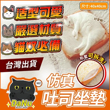【加厚吐司💥台灣出貨】吐司坐墊 造型坐墊 寵物墊 寵物睡墊 貓墊 狗墊 仿真吐司坐墊  屁墊 抖音 交換禮物 柔軟舒適