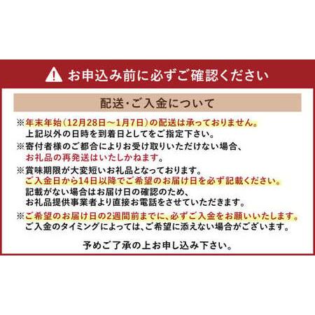 ふるさと納税 熊本県産 活き車海老 約1kg （33〜45尾程度） 熊本県宇城市