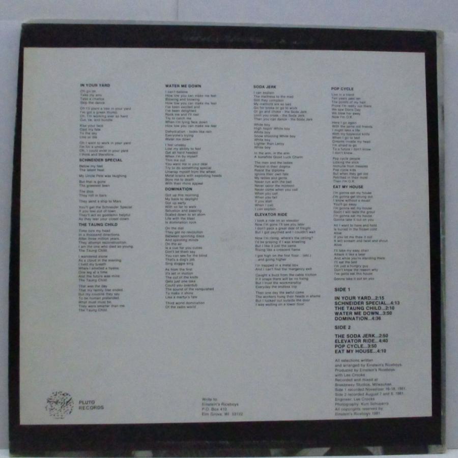 EINSTEIN'S RICEBOYS-Milk Of Amnesia (US オリジナル LP)