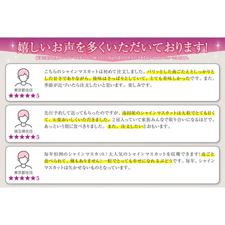 ふるさと納税 池田青果 厳選 シャインマスカット 1.2kg以上 2房〜3房（IS）B12-466 山梨県甲州市