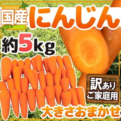 国内産限定！ にんじん 訳あり 約5kg 産地おまかせ 人参