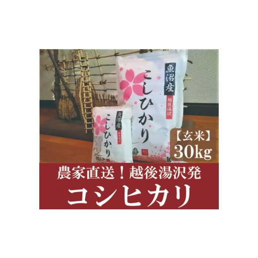 ふるさと納税 新潟県 湯沢町 令和5年産 農家直送！越後湯沢発 玄米30kg さくらファームの